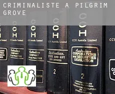 Criminaliste à  Pilgrim Grove