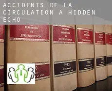 Accidents de la circulation à  Hidden Echo