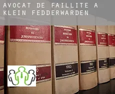 Avocat de faillite à  Klein Fedderwarden