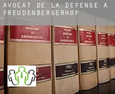 Avocat de la défense à  Freudenbergerhof