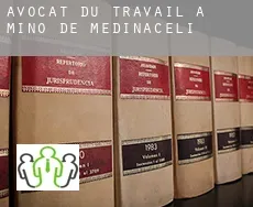Avocat du travail à  Miño de Medinaceli