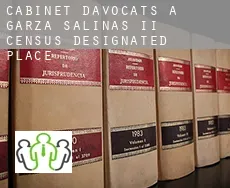 Cabinet d'avocats à Garza-Salinas II