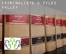 Criminaliste à Files Valley