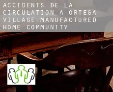 Accidents de la circulation à  Ortega Village Manufactured Home Community