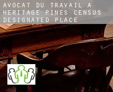 Avocat du travail à Heritage Pines