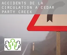 Accidents de la circulation à  Cedar Party Creek