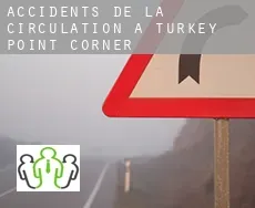 Accidents de la circulation à  Turkey Point Corner