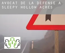 Avocat de la défense à  Sleepy Hollow Acres