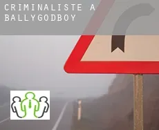 Criminaliste à  Ballygodboy