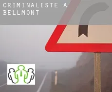 Criminaliste à Bellmont
