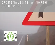 Criminaliste à  North Petherton
