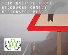 Criminaliste à  Old Escobares