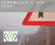 Criminaliste à  Ruby Creek