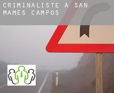 Criminaliste à  San Mamés de Campos