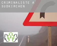 Criminaliste à  Südkirchen