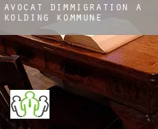 Avocat d'immigration à Kolding Kommune