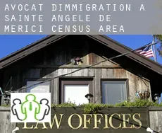 Avocat d'immigration à  Sainte-Angèle-de-Mérici (census area)