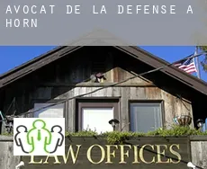 Avocat de la défense à  Horn