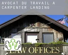 Avocat du travail à  Carpenter Landing
