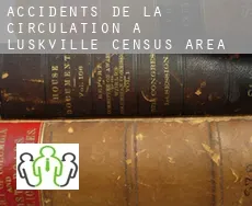 Accidents de la circulation à  Luskville (census area)