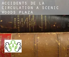 Accidents de la circulation à  Scenic Woods Plaza