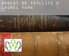 Avocat de faillite à  Laurel Fork