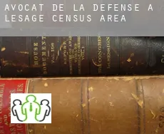 Avocat de la défense à  Lesage (census area)