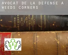 Avocat de la défense à  Weeds Corners