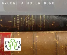 Avocat à  Holla Bend