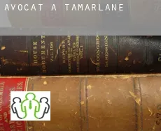 Avocat à  Tamarlane