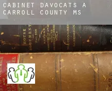 Cabinet d'avocats à Carroll