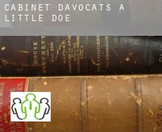 Cabinet d'avocats à Little Doe