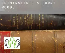Criminaliste à  Burnt Woods