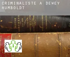 Criminaliste à  Dewey-Humboldt