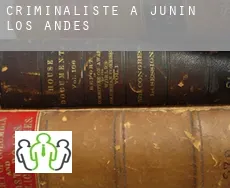 Criminaliste à  Junín de los Andes