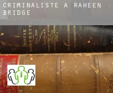 Criminaliste à  Raheen Bridge