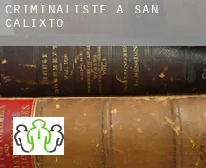 Criminaliste à  San Calixto