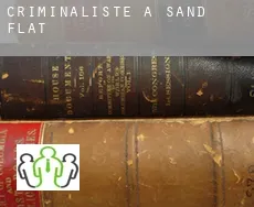 Criminaliste à  Sand Flat