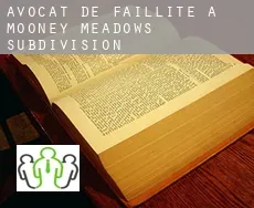 Avocat de faillite à Mooney Meadows Subdivision
