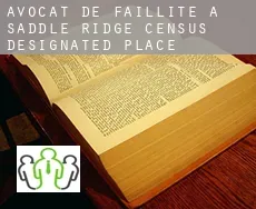 Avocat de faillite à  Saddle Ridge