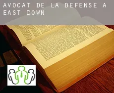 Avocat de la défense à  East Down