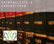 Criminaliste à  Crocketford