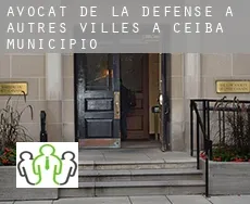 Avocat de la défense à  Autres Villes à Ceiba Municipio