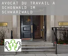 Avocat du travail à  Schönwald im Schwarzwald