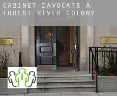 Cabinet d'avocats à  Forest River Colony