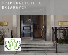 Criminaliste à  Briarwyck