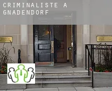 Criminaliste à Gnadendorf