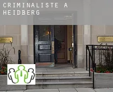 Criminaliste à  Heidberg