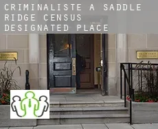 Criminaliste à  Saddle Ridge