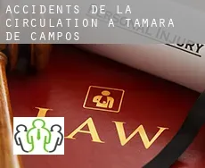 Accidents de la circulation à  Támara de Campos
